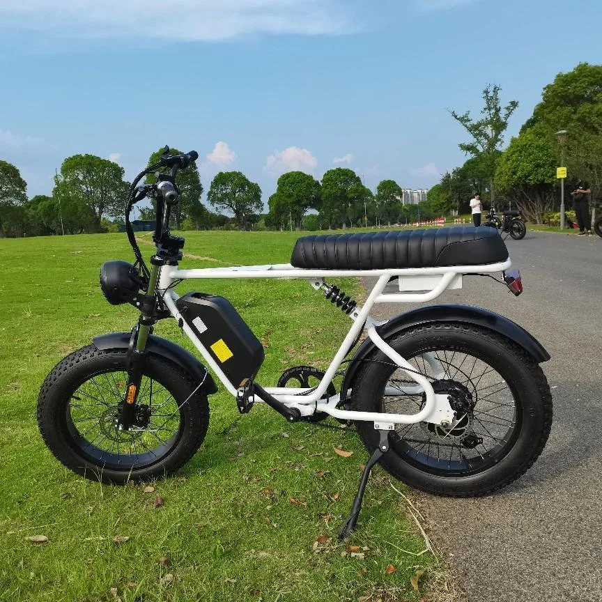 Host Sell 5000w 72v Fat Tire Snow Ebike City Bike   20 Inch  Ebike