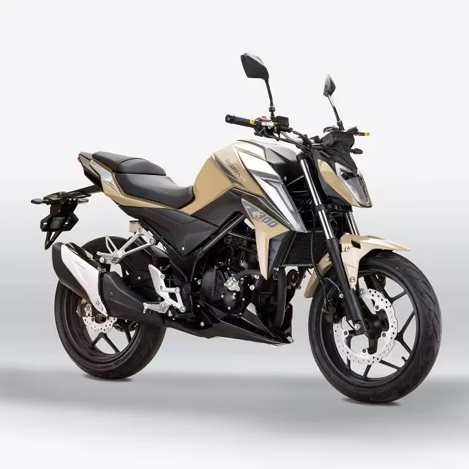 Factory direct sales fuel-powered 2-seater adult two-wheeled road motorcycle made in China ATV/UTV 300CC