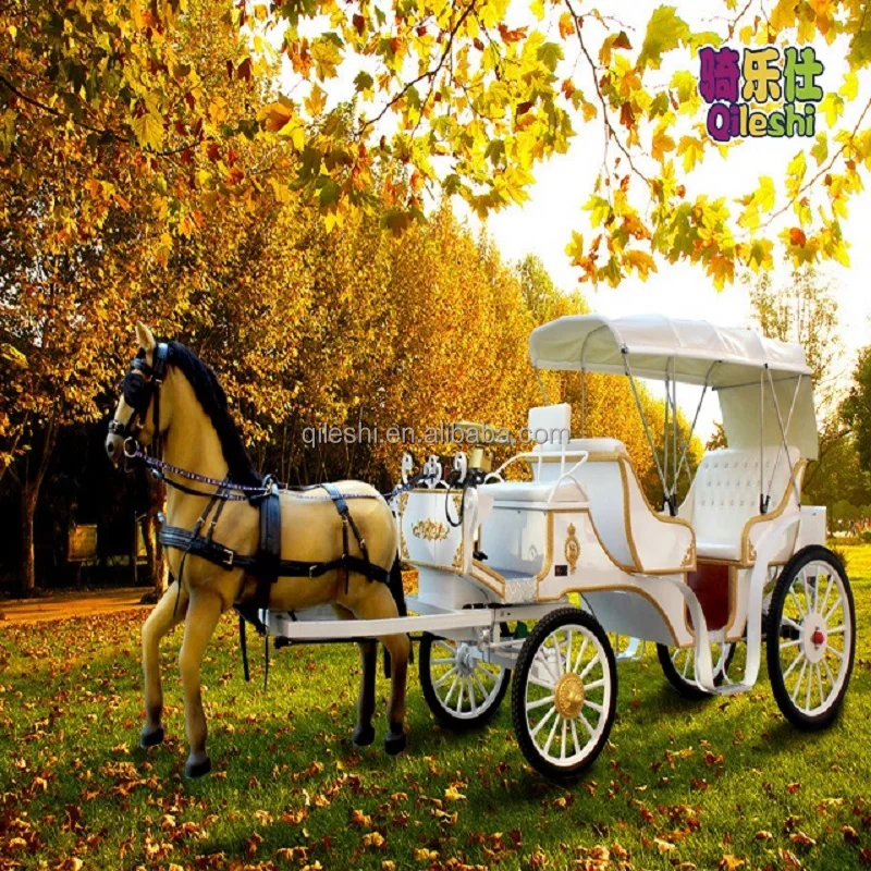 Luxury Pumpkin European Style Princess Horse Drawn Carts Horse Carriage For Sale