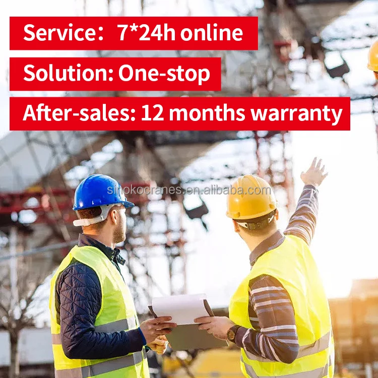 1ton 5ton Crane Hoist 220V-690V Lifting Equipment Electric Chain Hoist for Repairing Shop