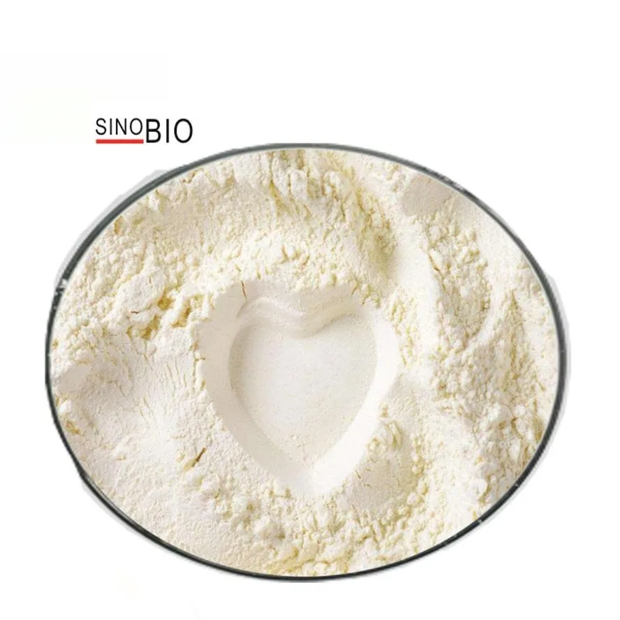 
KERATIN 99% powder CAS 169799-44-4 Cosmetic hair care raw material ANIMAL KERATIN powder 