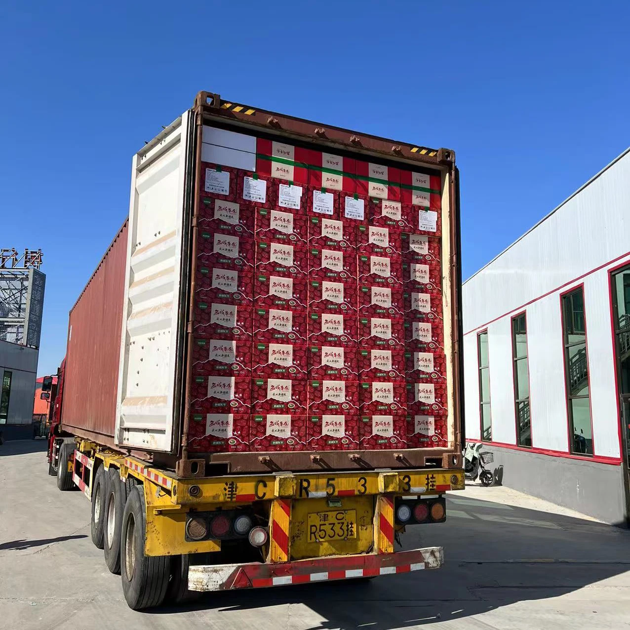 Bikini Swimsuit Dried Datemulticolorbags 1kg*10bags Swimwear Red Cheap Xinjiang Chinese Dried Fruit AD Normal Temperature Cold /