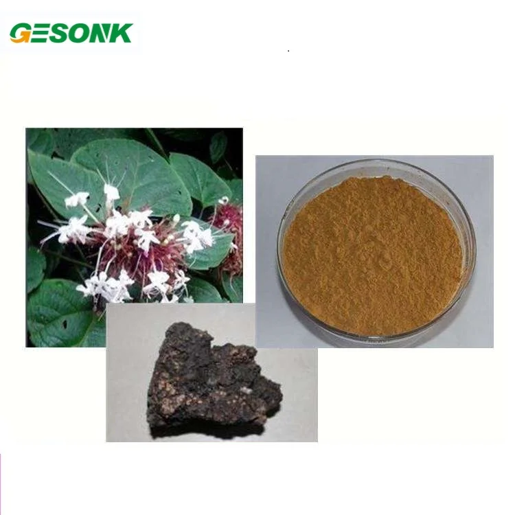 Factory supply high quality Shilajit Extract Powder 5%  50% fulvic acid Shilajit extract powder
