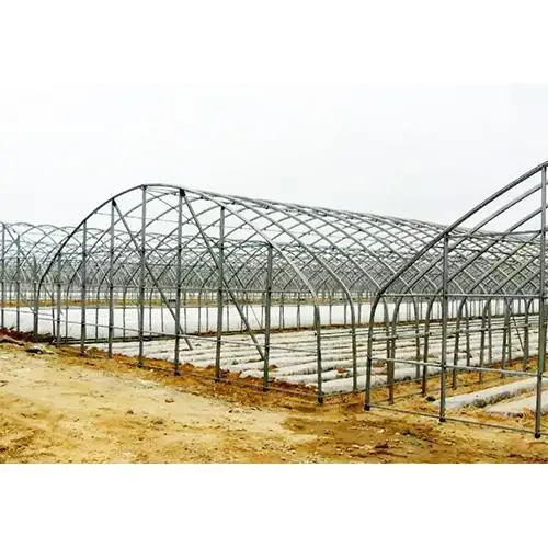 tomato commercial greenhouse agricultural kit frame plastic film multi-span greenhouse for sale