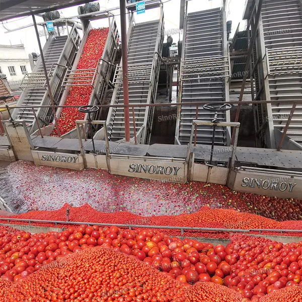 5-6 Tons Multifunctional fruits/ tomato/ mango/ banana/ apple/ pineapple/coconut Processing Line/Plant/Factory and Machines