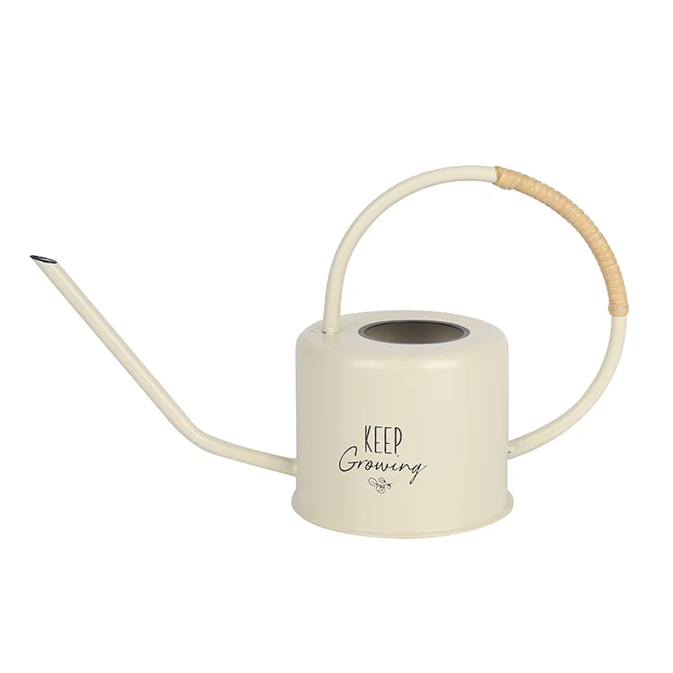 K & B Modern Minimalist Household Metal Garden Watering Can WIth Non-slip Handle