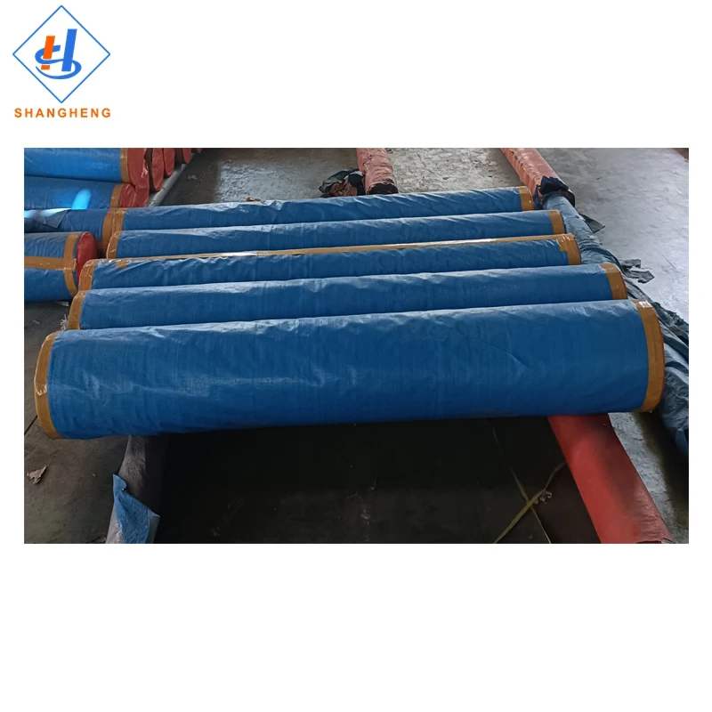 Pe Tarpaulin Blue/Silver Pe Tarpaulin Roll 250 Gsm Army Green Pe Tarpaulin In Roll Price