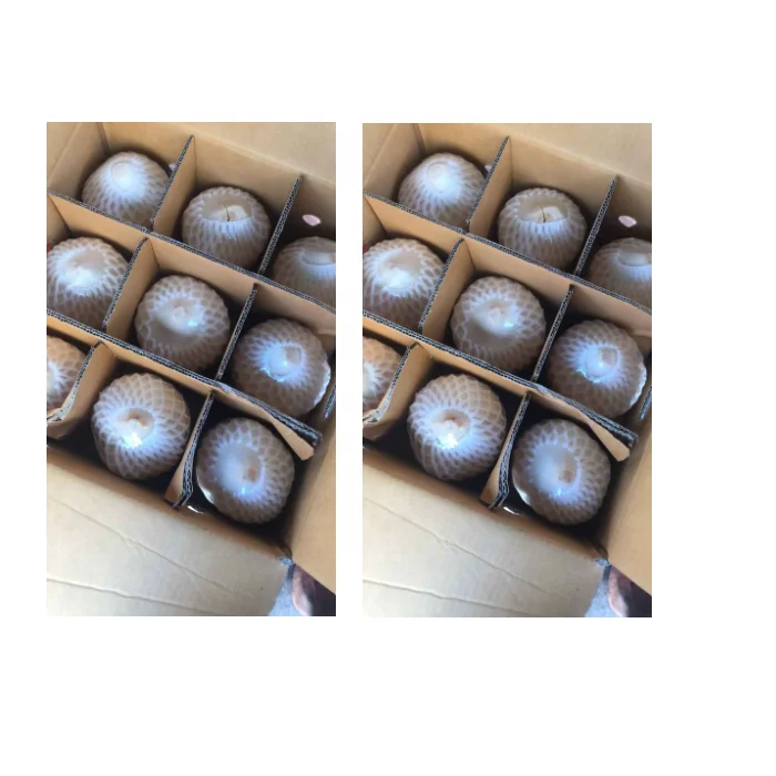 The Best of Healthy Drinking Young and Fresh Coconut Fruit With Weight 900 to 1.200 g From Thailand