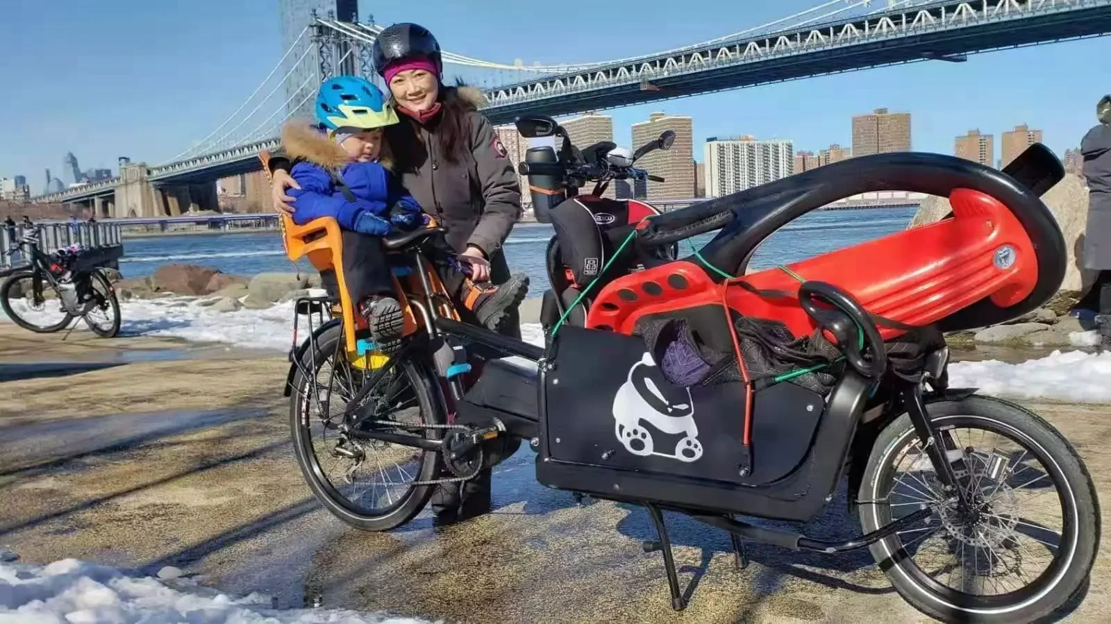 China Manufacture Wholesaler Direct Sale CLAMBER CHEETAH Electric Cargo Bicycle Cheap Price