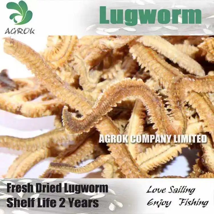 AGROK Wholesale 5g/bag Real Worms Freeze Dried Lugworm Soft Fishing Lure Dry Sandworm Sea Fishing Bait