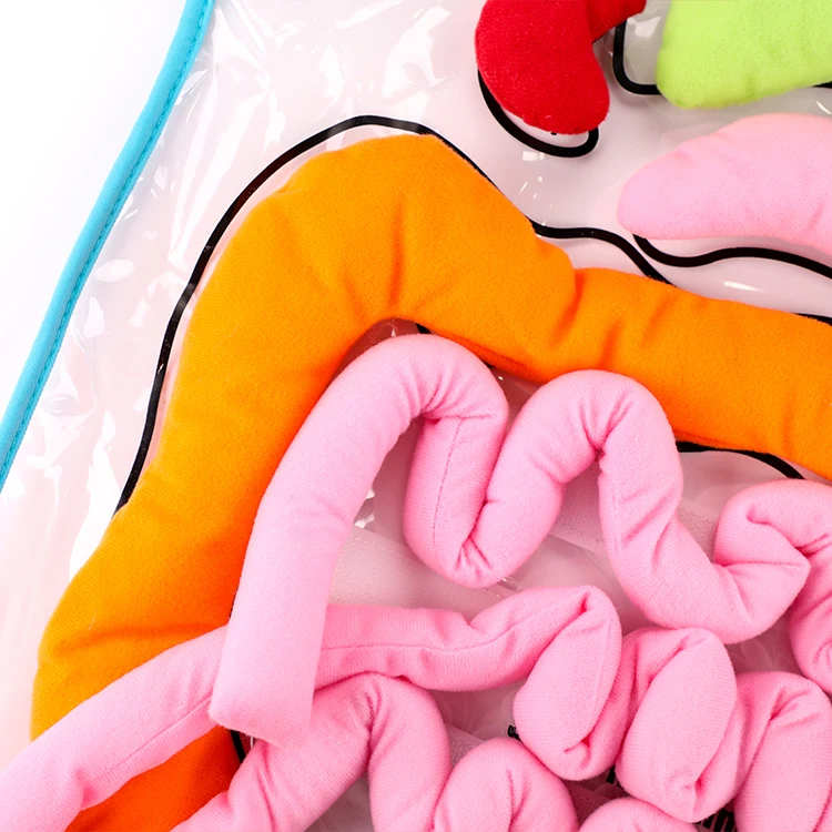 High Quality Customizable Colorful Montessori Sensorial Preschool Body Organ Teaching Aids Apron Kids Training Aids Baby Educati