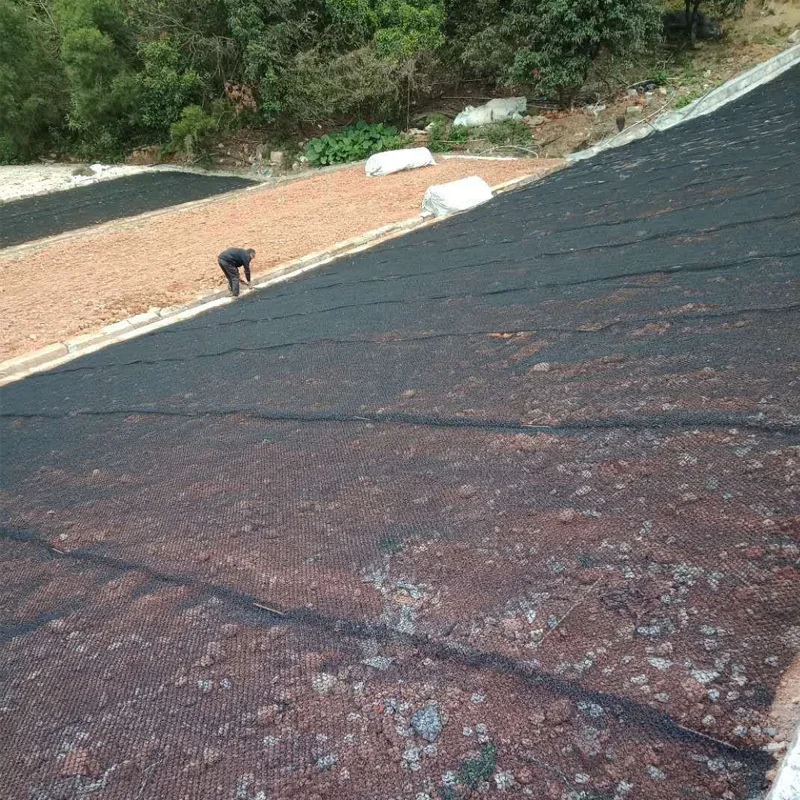 Slope Protection 400gsm 500gsm PA 3D-geomat  for Soil Erosion Prevention