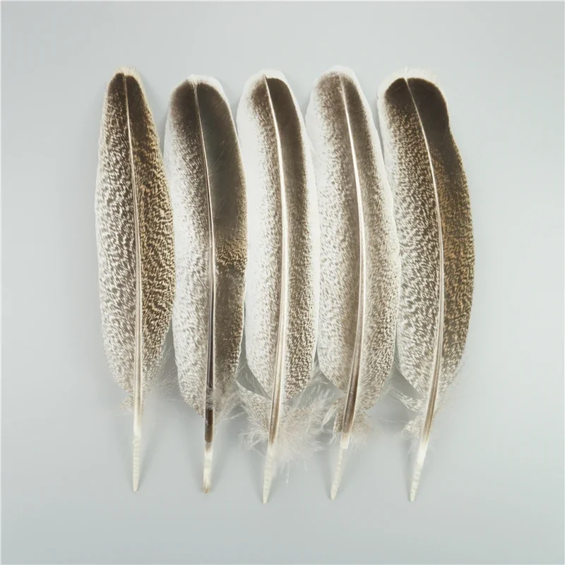 10Pcs/Bag Natural Eagle Feathers for Crafts Plume Headdress Accessories Holiday Decoration Carnival Feather DIY Handicraft Decor