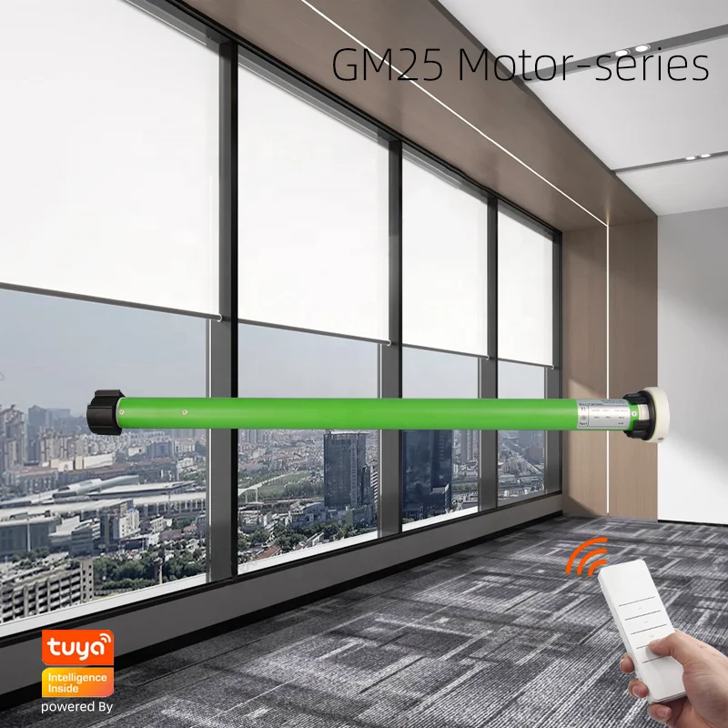 Alexa tuya wifi smart 120v low powered motorized electric roller zebra blind shades motor kit