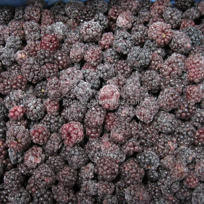 Good Taste IQF Frozen Blackberry in Bulk 100% Fruit Premium Quality