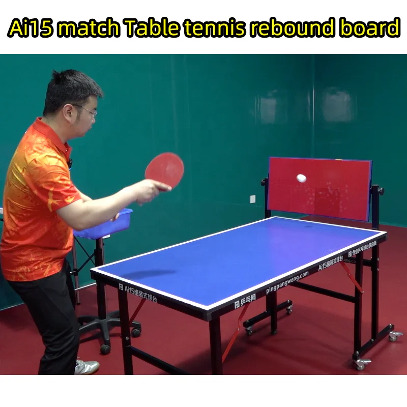 PINGPANGWANG Ai15 assembly type table tennis tables Portable pingpong Training Equipment in indoor OEM