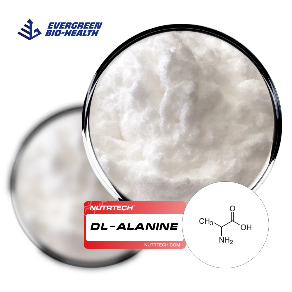 N Methyl Alanin Beta-Alanine Food Grade Powder Alanina DL-Alanine In Stock
