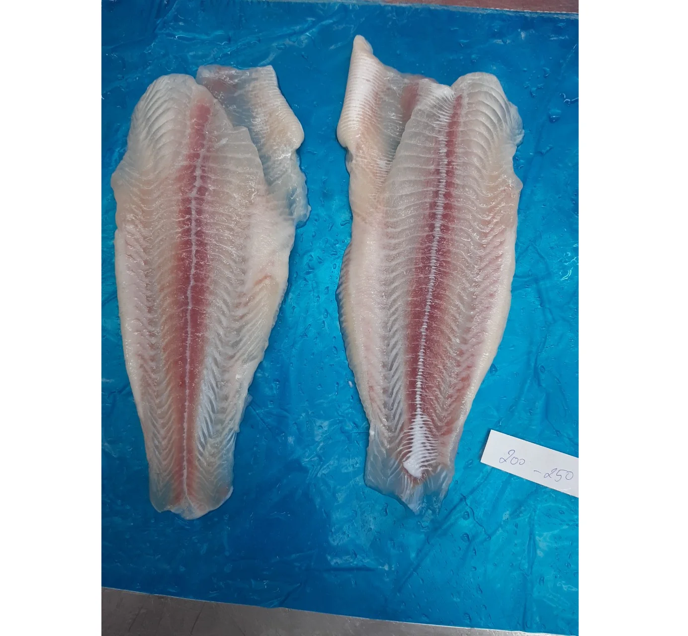 Pangasius fillet не Обрезанные лучшие морепродукты во