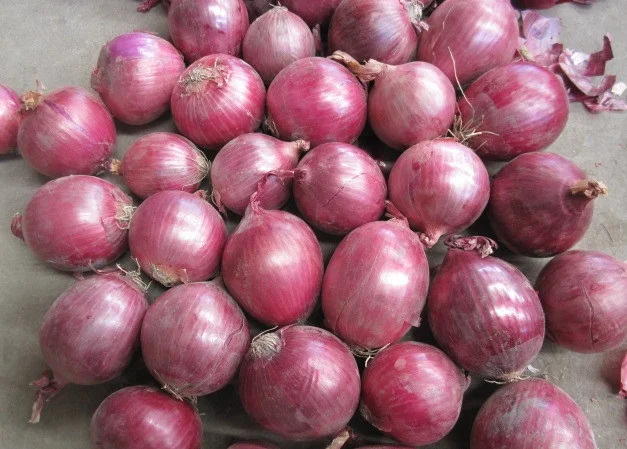 Top quality Natural Reliable Price Red Onion For Sale