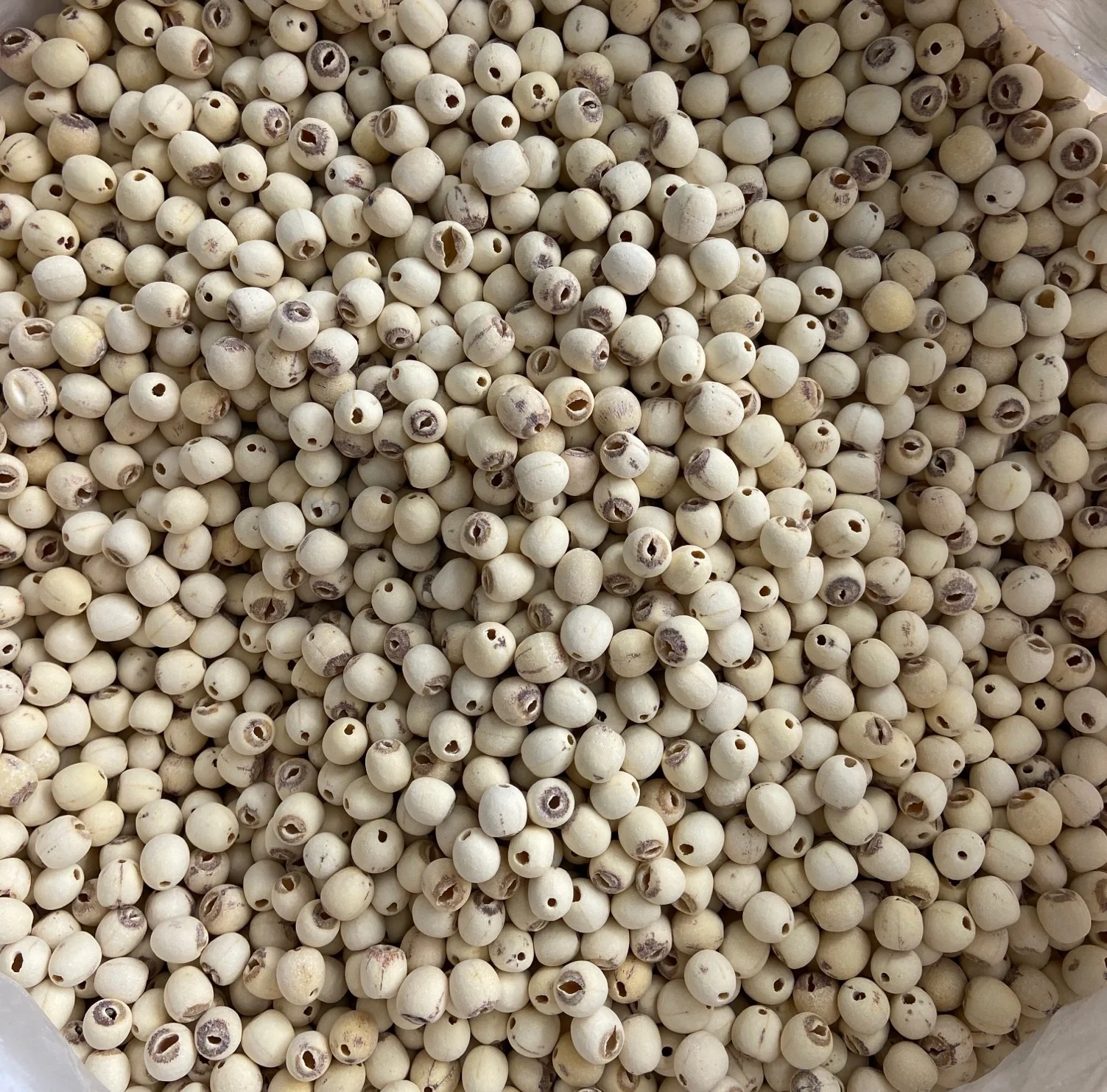 YINING OEM Available Factory Price Dried Lotus Seed cored for Cooking