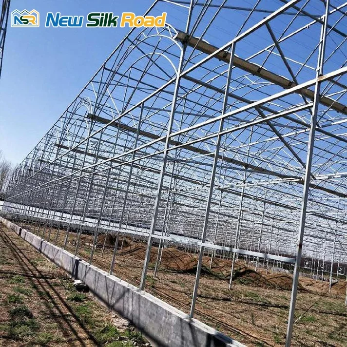 Large Economical Plastic Agricultural Greenhouse Double Single Layer Hot Dip Galvanized Steel Frame Plant Use PE ETFE Material