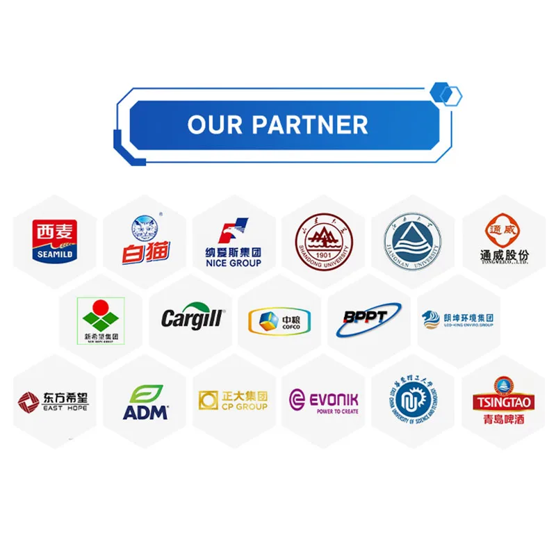 VLAND High Quality Food Grade Flavourzyme Flavor Enzyme Flavoring Agents for Protein Hydrolyzate Food Additives