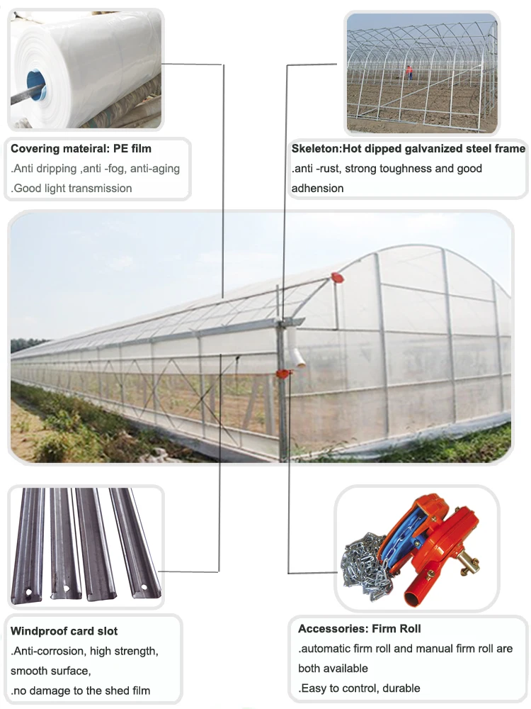 single-span greenhouse (2)