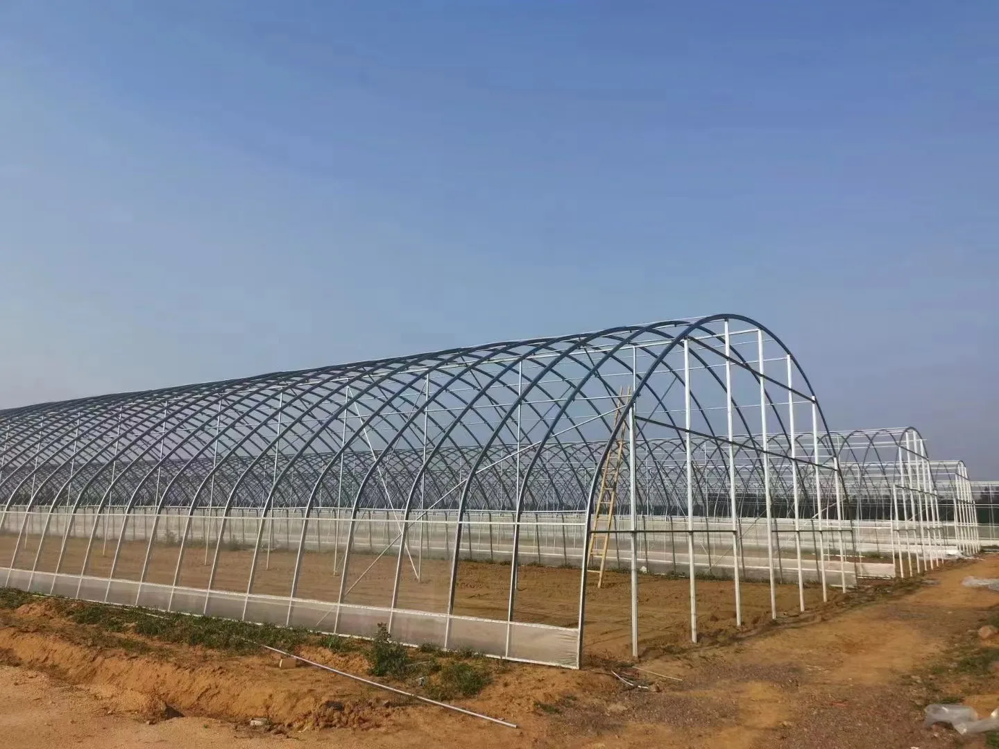 commercial price of m2 agricultural greenhouse arches poly professional tunnel green house/tomato greenhouse for sale