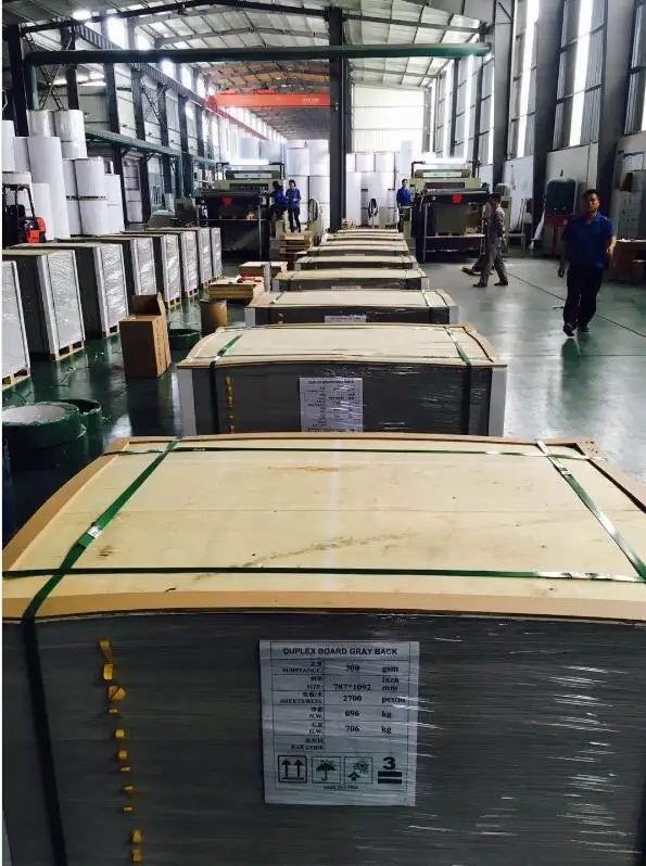 Дуплексная плата chromo duplexcarton GD1