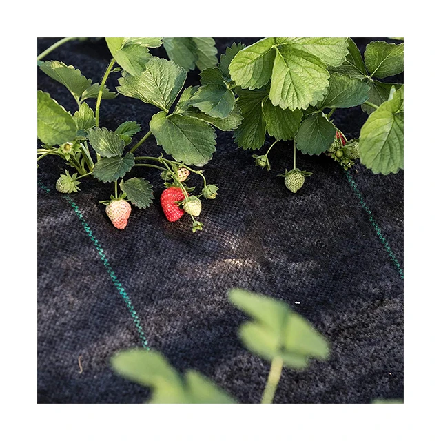 ground cover ground   agricultural  plastic mulch layerweed mat hole  plastic mulch products  weed mat weed control fabric
