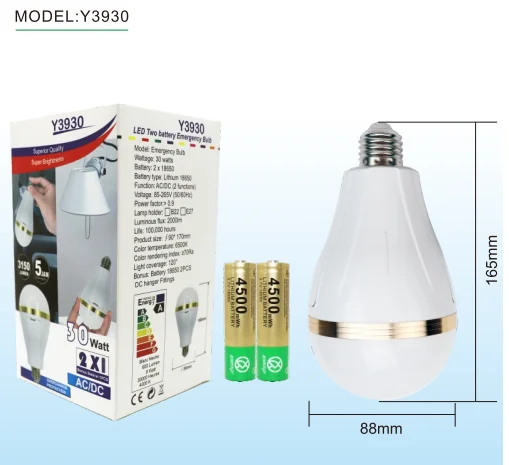 E27 Charging Emerg Bulb Portable Led Lamp 30W Usb Type c Rechargeable Light Bulb with Removable Battery Li-ion