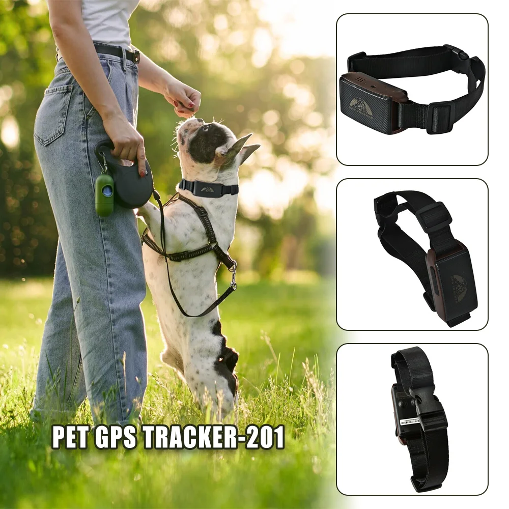 Coban Dog GPS Tracker  Factory Price ODM OEM Anti-Theft Waterproof Locator Portable Tracking Device Wireless Pet Finder