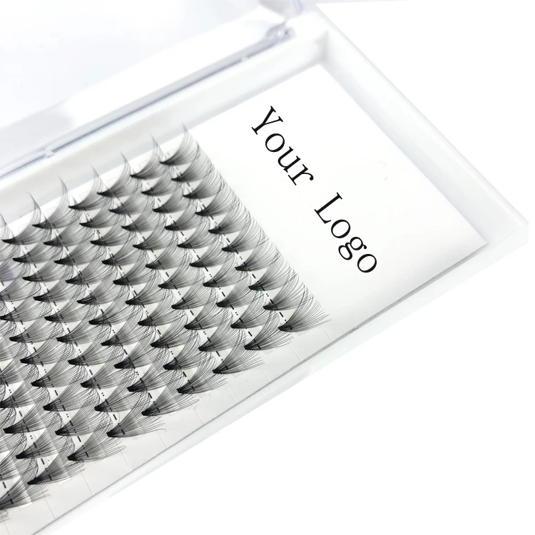 
20D 0.03 DD Curl Volume Fans Customized Trays Card 20D Premade Fans Eyelashes 0.03 Russian Lashes 