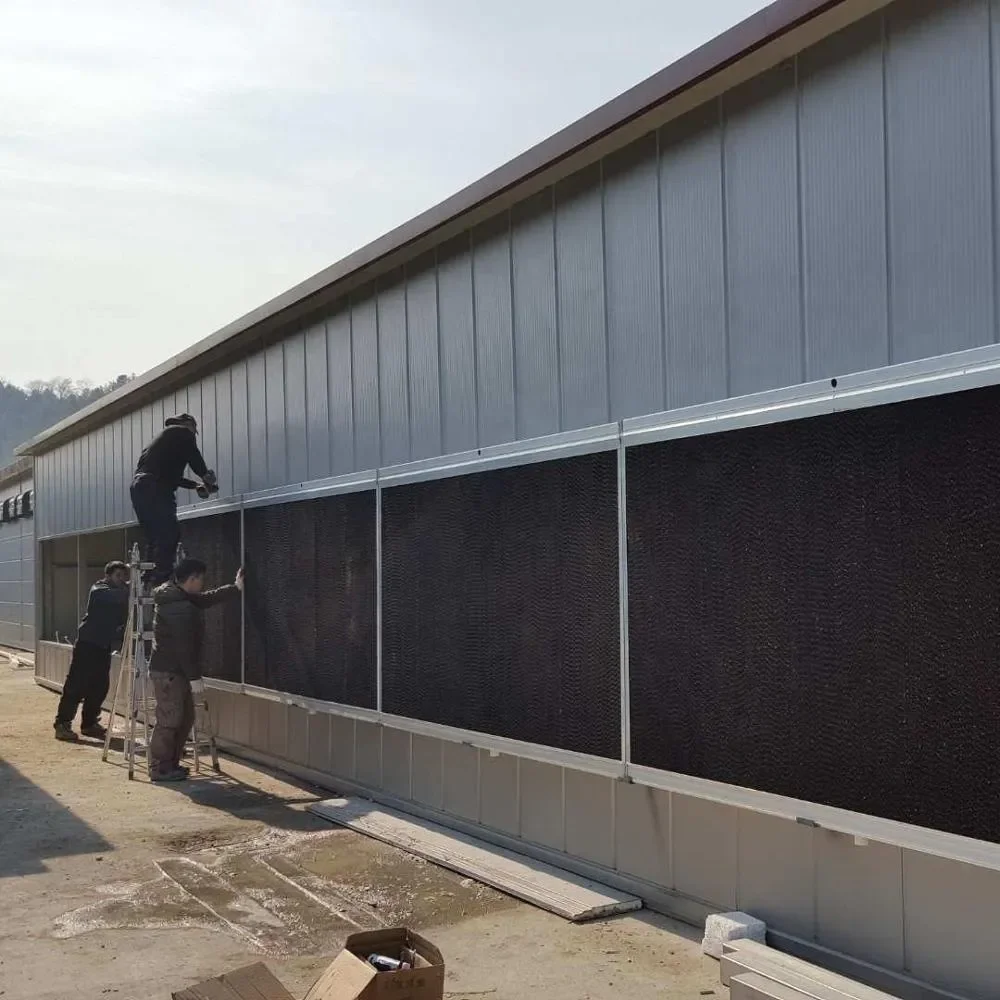 Steel Structure Poultry House Price Is Cheap Prefabricated Steel Frame Chicken House Environmental Protection Chicken Shed