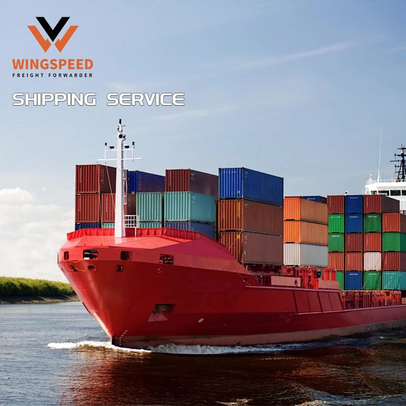 Sea Freight Forwarder in Shenzhen To Australia Ocean shipping door to door delivery  to usa/CA/UK/MX