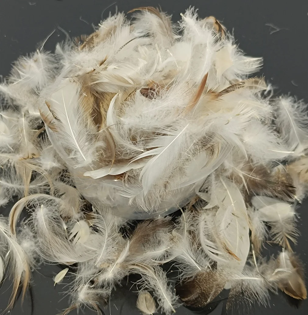 Manufacturers Direct Sales of 2-4CM  4-6CM 6-8CM Washed Gray Duck Feather