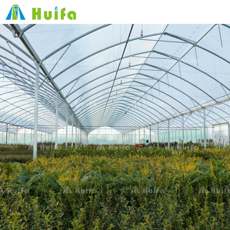 Agricultural Equipment Multi-span Tomato High Tunnel Green House Plastic Film Low Cost Greenhouse
