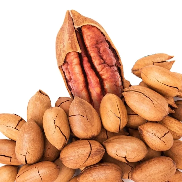 Pecan Nut Roasted Salted Pecans/Raw Nuts With Shell