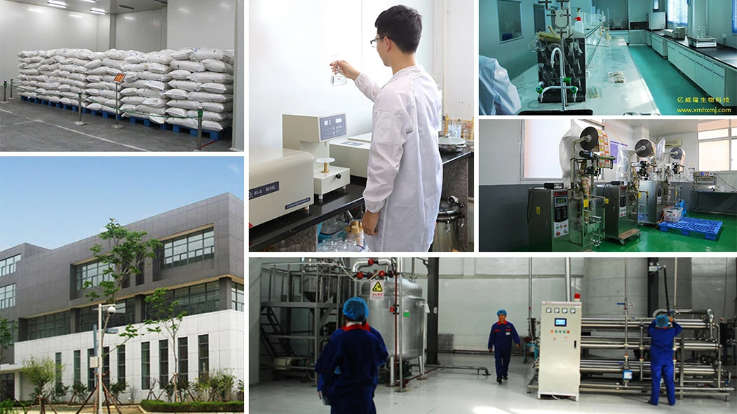 Halal collagen peptide powder marine fish collagen hydrolyzed collagen peptide powder drink