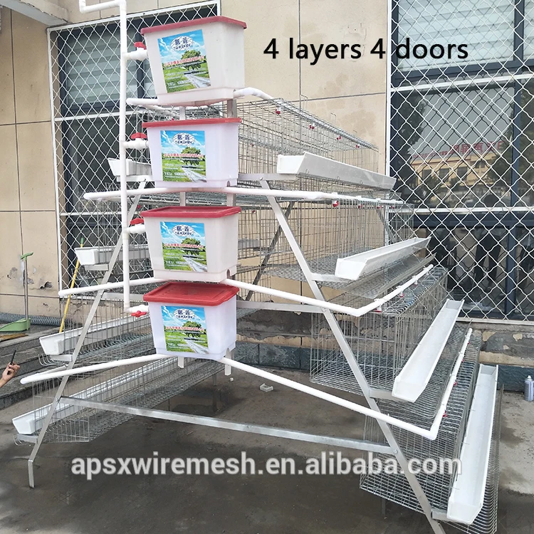 New Design Large Capacity A Type Poultry Farm use chicken egg layer cage for Philippine