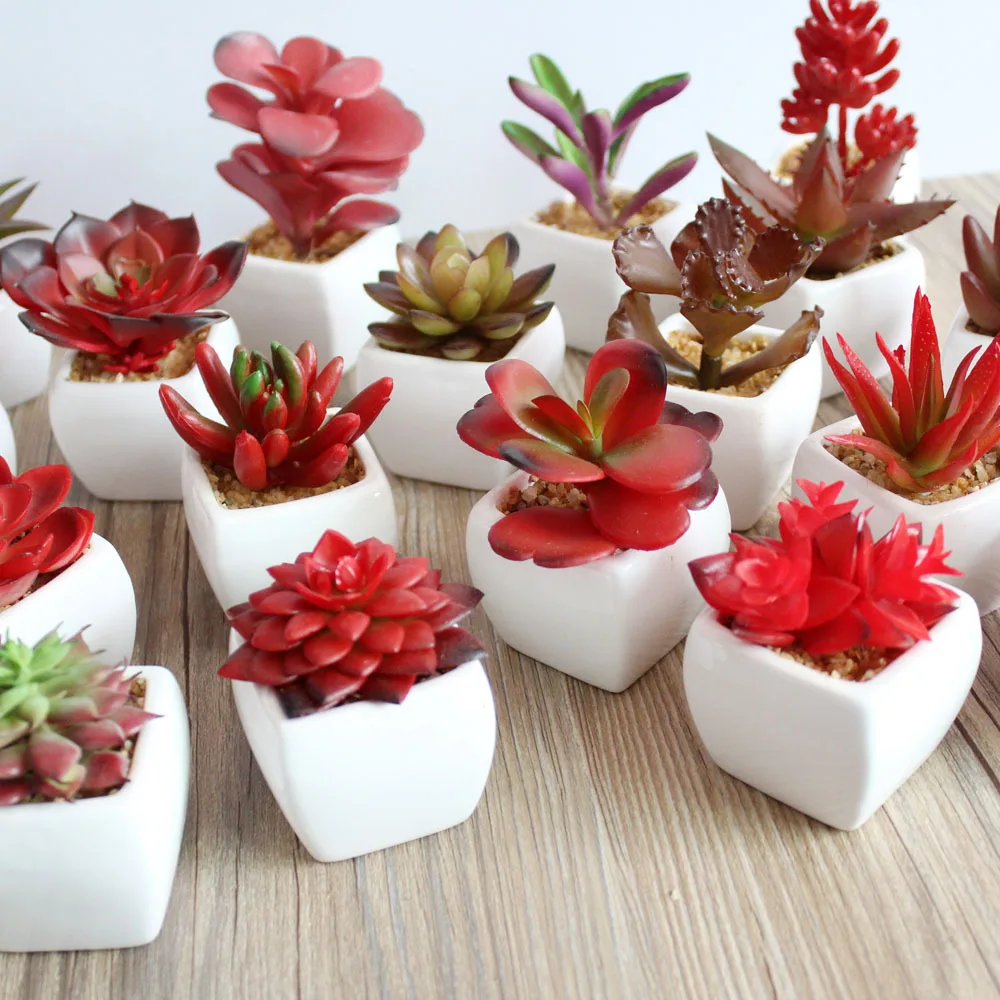 Mini Assorted Green Artificial Succulent Plants in Square White/Black Ceramic Potted