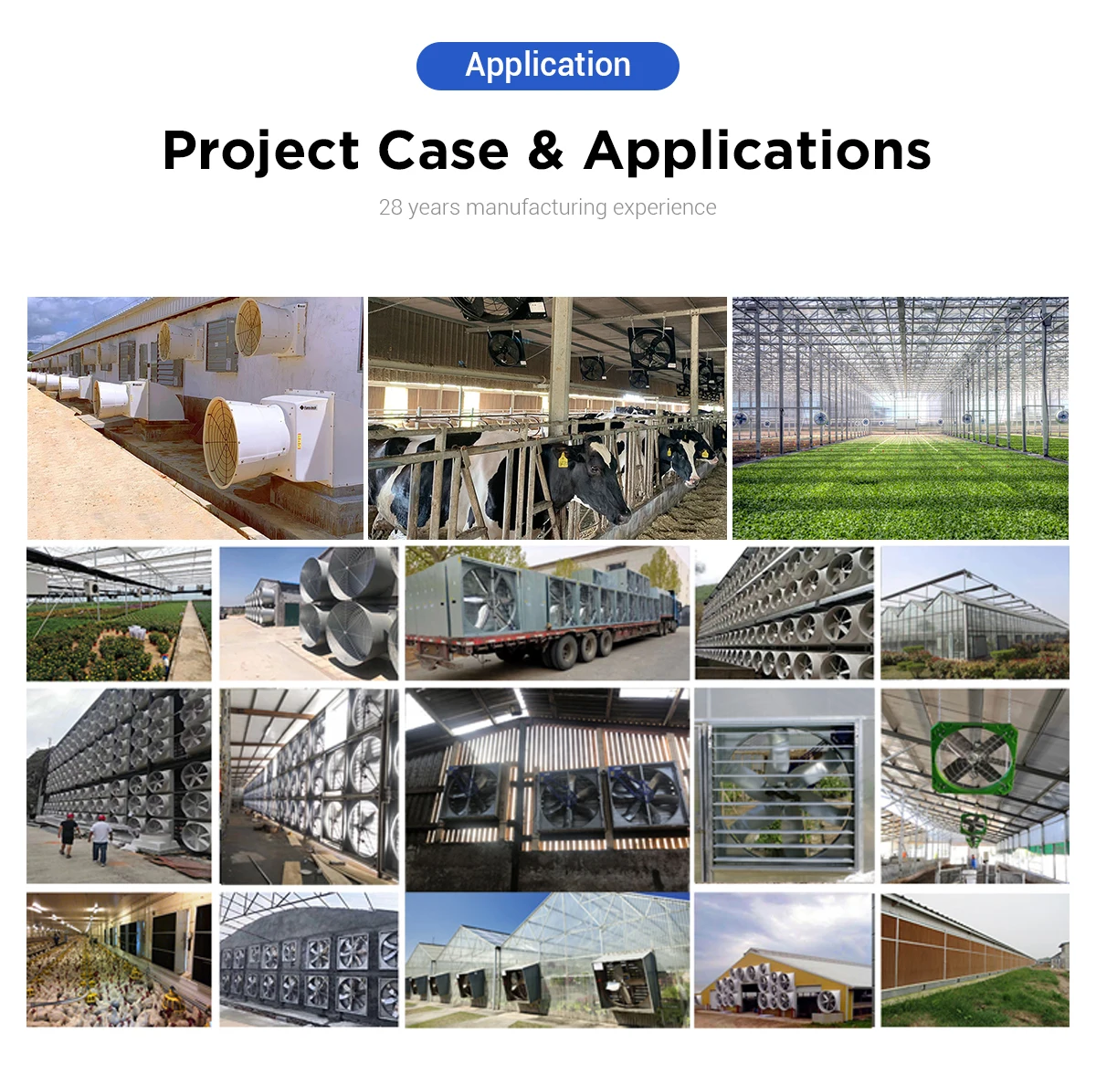 Large Air flow high efficiency IP55 waterproof Chicken House Poultry Farm Ventilation Extractor Poultry House Fan