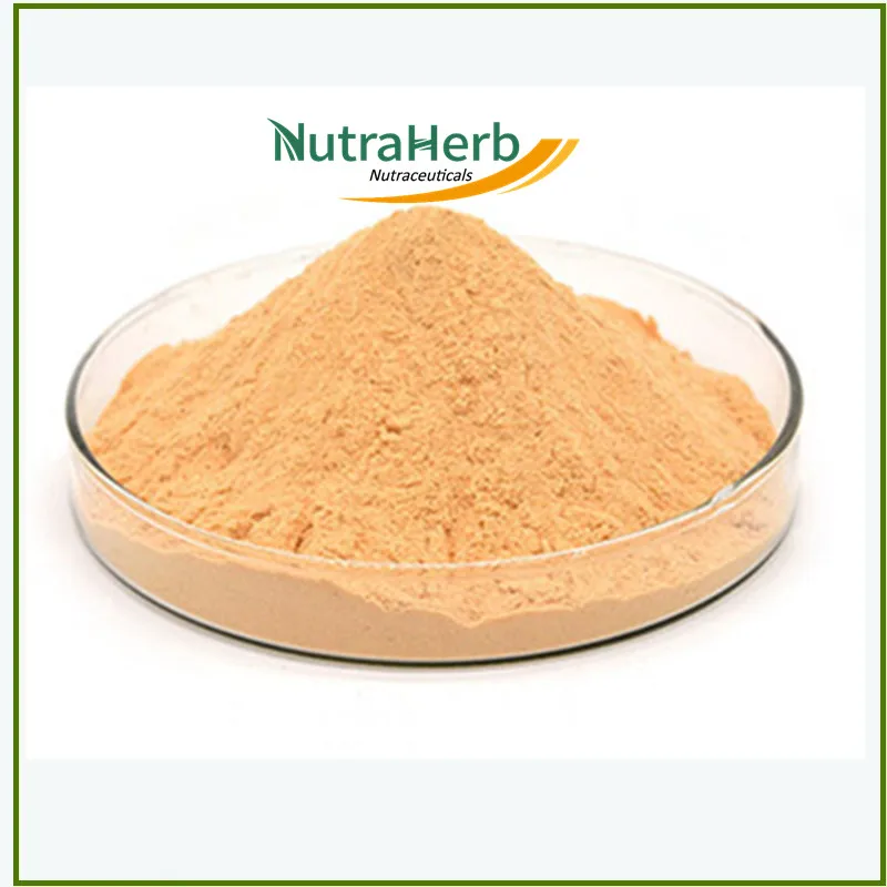 Chinese Wolfberry Wholesale Pure Wolfberry Extract 10%-50% Polysaccharides Goji Berry Powder Natural Lycium Barbarum Extract