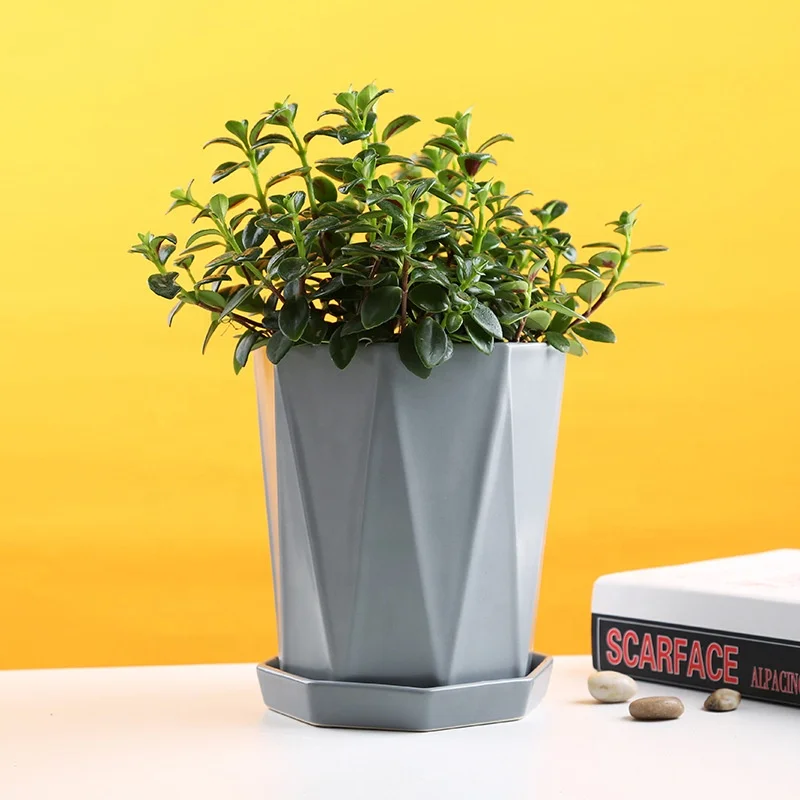 Manufacturer Designer Planting Custom Portable Plastic Decor Flower Pots