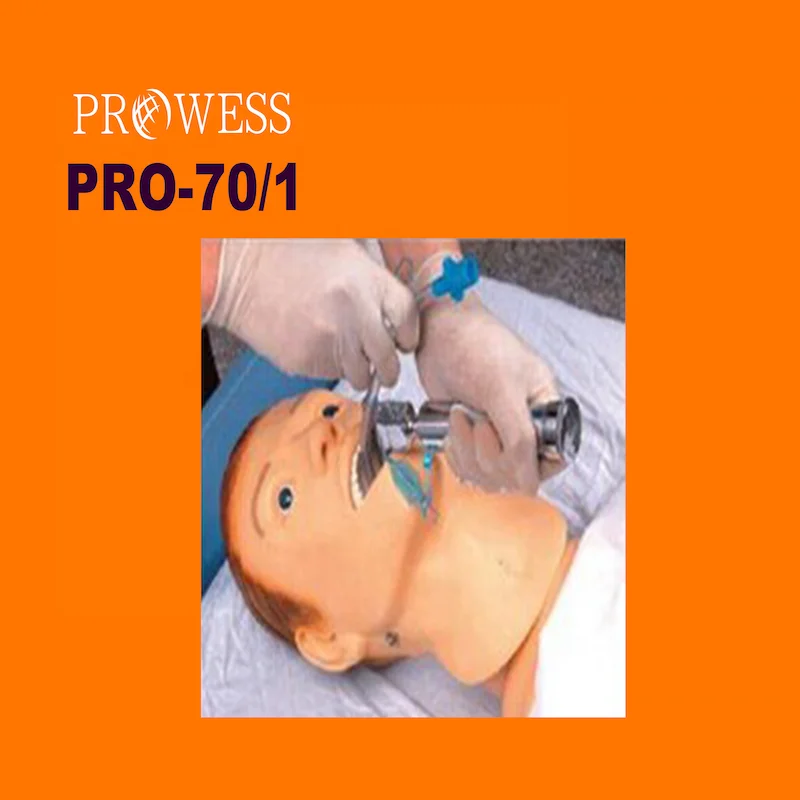 PRO-70/1 Manufacturer advanced silicon nasogastric tube and the trachea model nasogastric fr8 stomach tube teaching simulator