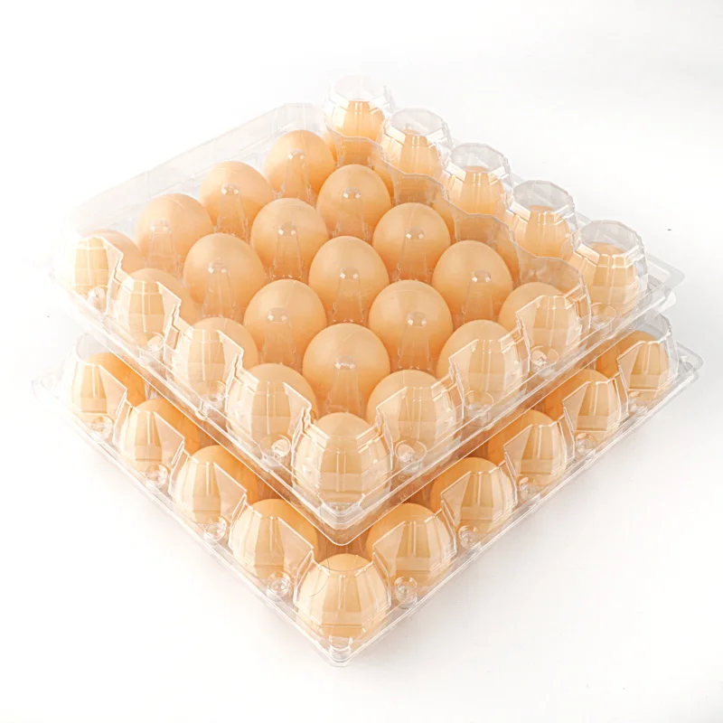 manufacturer of poultry egg tray popular portable egg storage tray box cheap transparent plastic tray