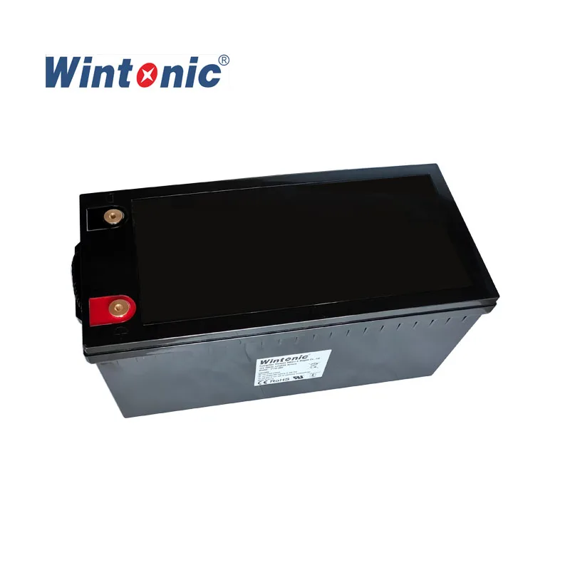 Deep Cycle High Discharge 48 volt LiFePo4 Battery Pack Lithium Ion 48V 100Ah 5kw 10kw Battery for Solar Forklift EV Golf Cart