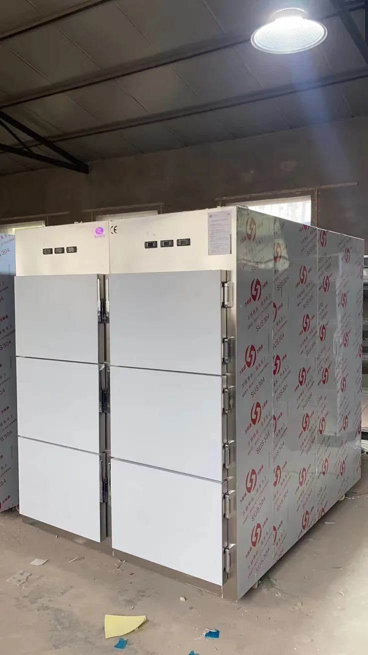 304 stainless steel 6 bodies cooler rooms cadaver freezer refrigerator mortuary fridge