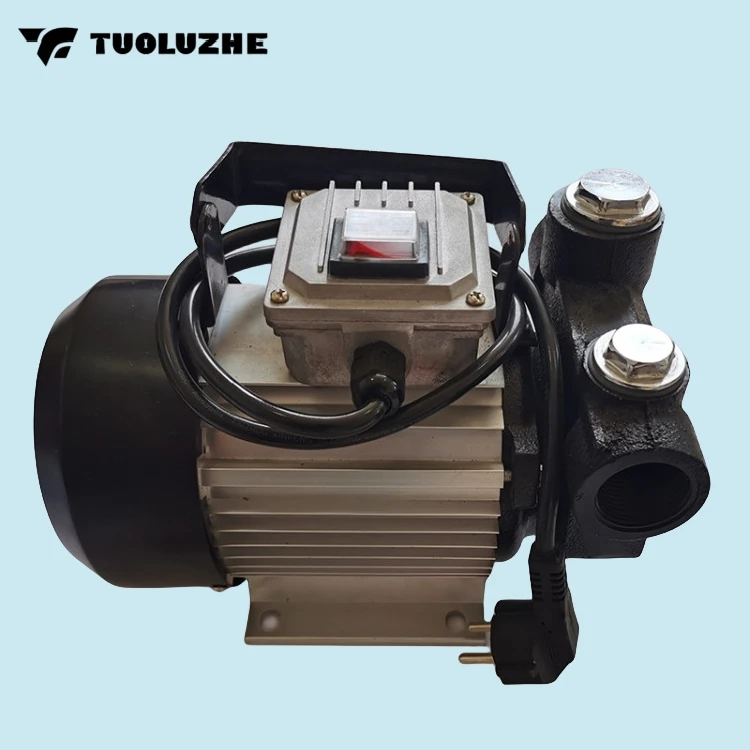 High power household small pumping unit electric pump for oil 220V-550W