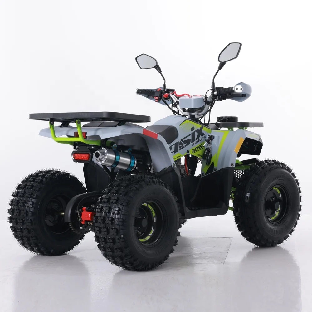 Tao Motor 2024 New ATV 125 Cheap Chinese Automatic Chain Drive Farm ATV 125cc ATV